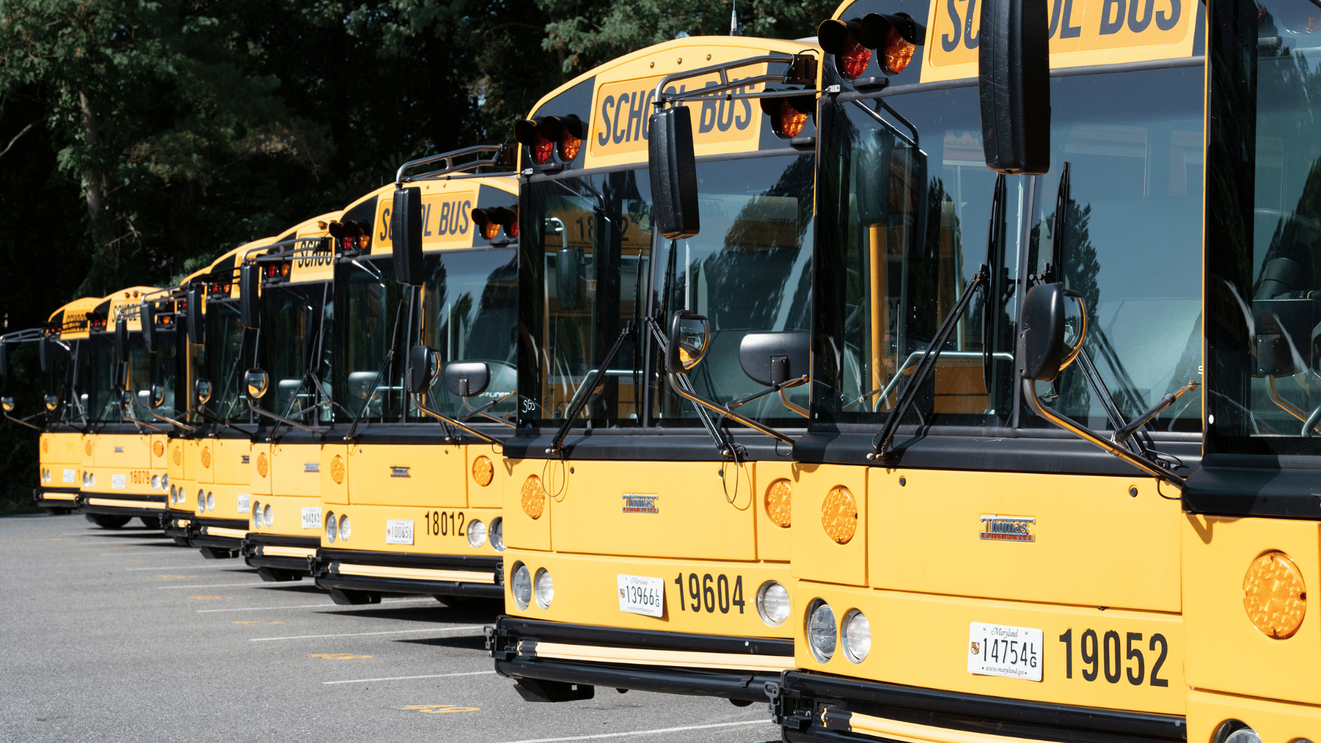 Bus Route Information